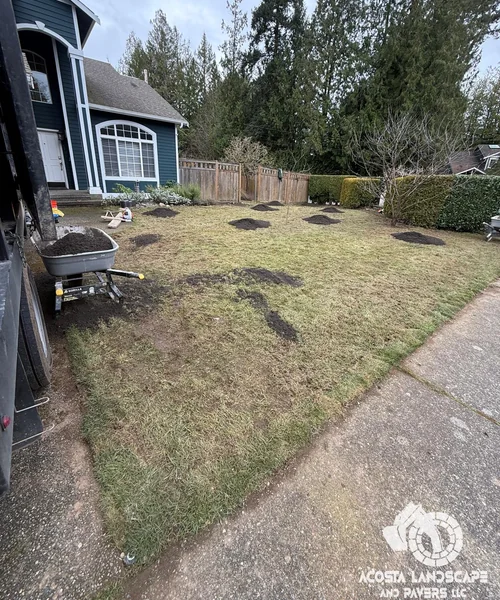 Lawn Care & Sprinkler System Installation in Lynnwood 